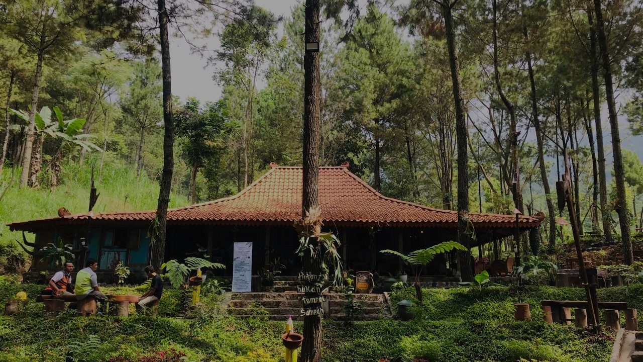 Group of people in a forest